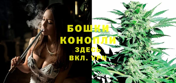 ГАЛЛЮЦИНОГЕННЫЕ ГРИБЫ Баксан