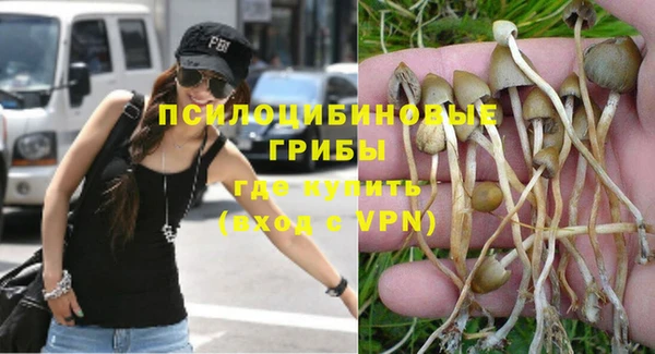 ГАЛЛЮЦИНОГЕННЫЕ ГРИБЫ Баксан