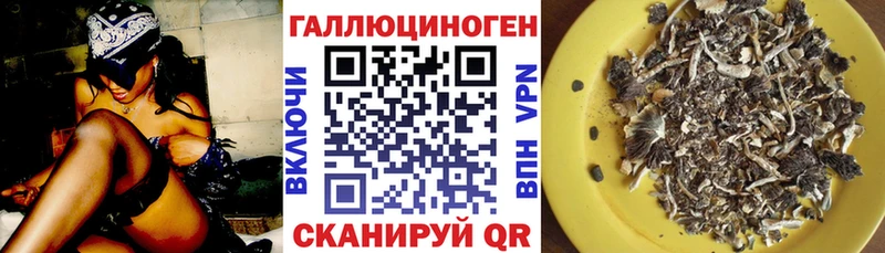 купить закладку  гидра сайт  Галлюциногенные грибы Cubensis  Няндома 